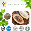 Bulk Supply cocoa powder, Alkalized Cocoa Powder 10-12% in lower price